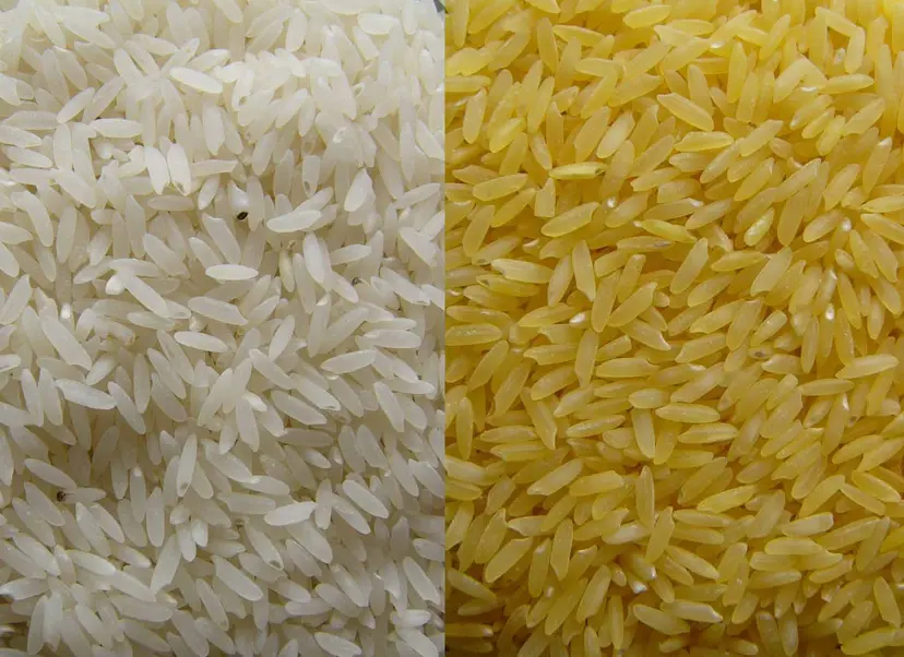 What’s your rice?