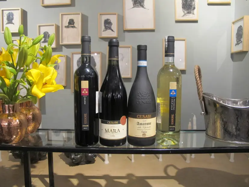 Cesari Mara Valpolicella Superiore Ripasso DOC 2009