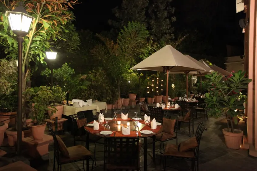 Tonino Delhi Celebrating a Decade of Success!