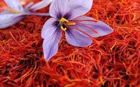 Five Easy Way To Identify Pure Saffron: Real Vs Fake Saffron