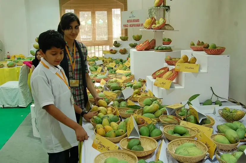 Mango Festival by Delhi Tourism