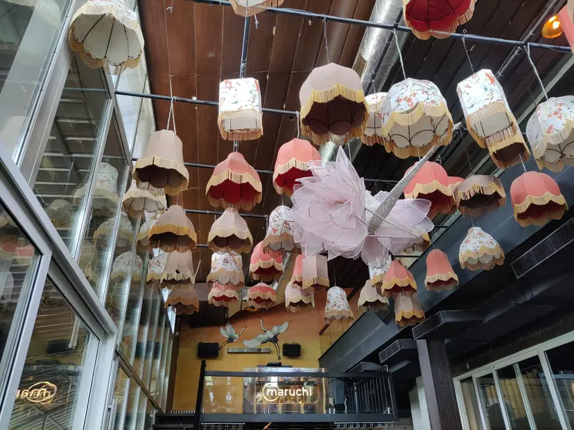 Maruchi, Lado Sarai, Delhi : Oasis in the Desert