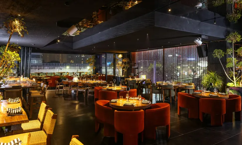 Japonico: Elevating Dining Standards with Innovation and Elegance